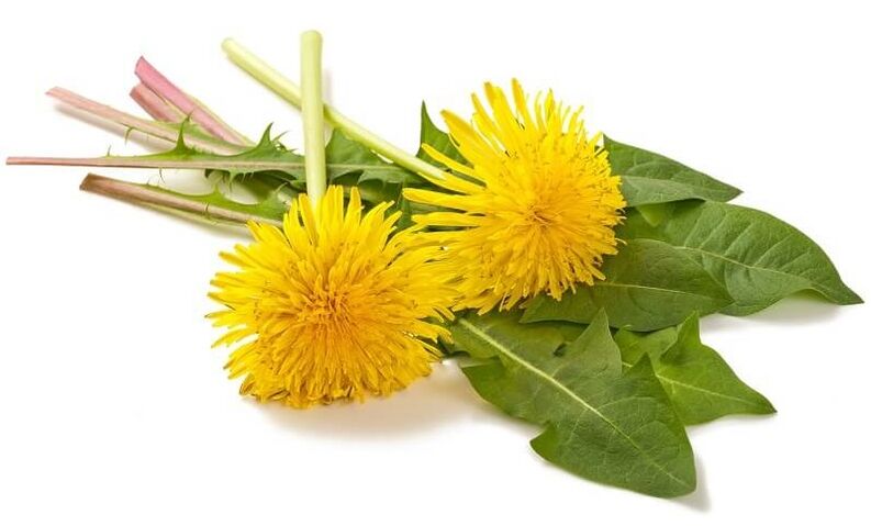 NEOflorax sudėtyje yra kiaulpienių