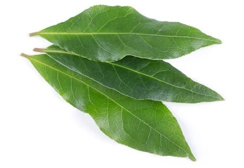 NEOflorax sudėtyje yra lauro lapų